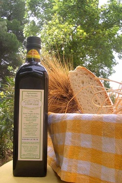 Olio d’oliva extra vergine e pane toscano al Lupo Vecchio