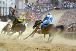 Pferderennen, Palio di Siena’
