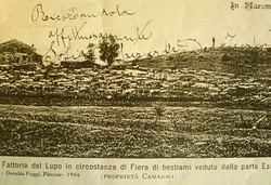 Ein altes Dokument betreffend Il Lupo
